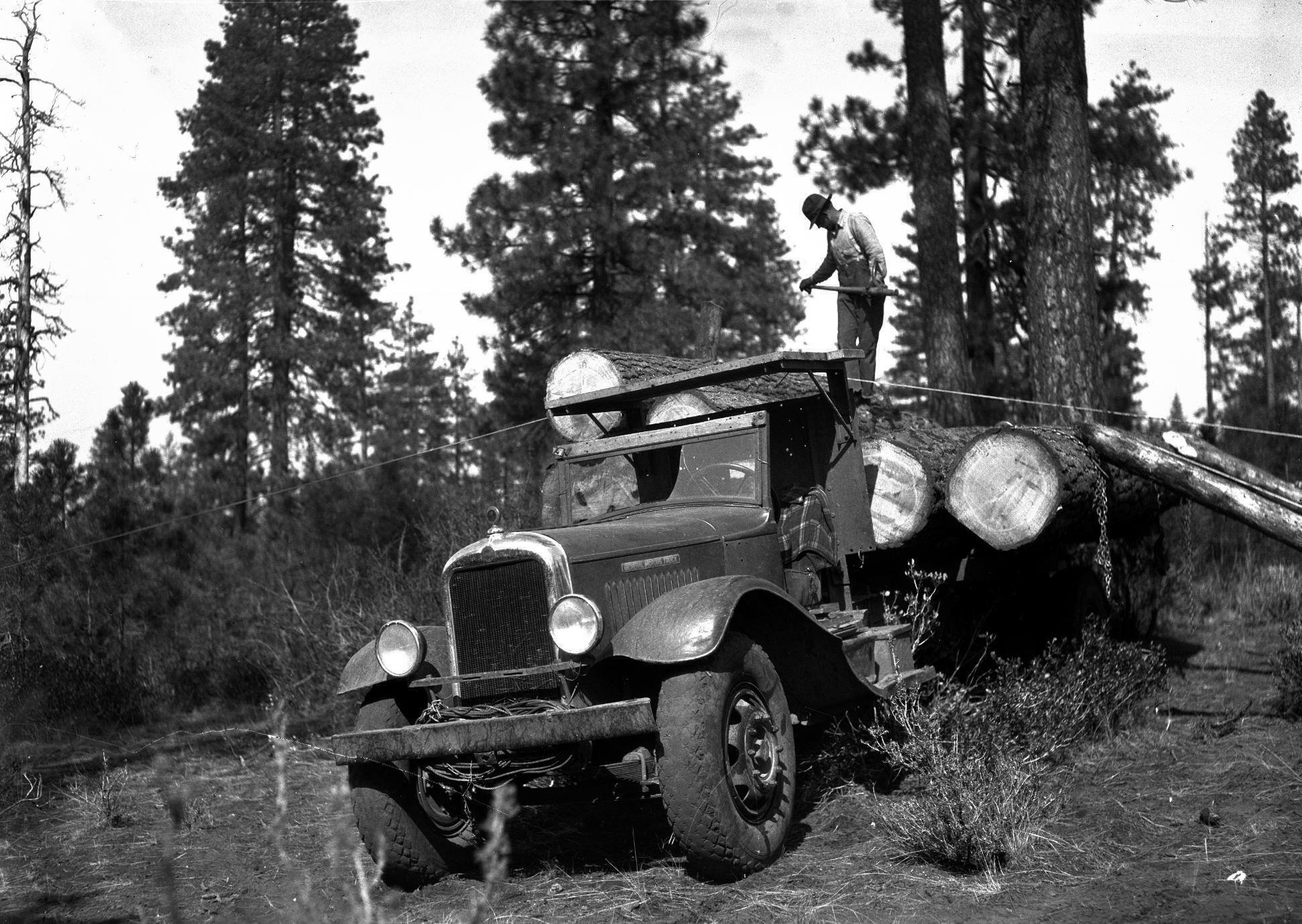 1940. Loading logs from Experimental Logging Area with a cross-haul. Entomological selection. .jpg